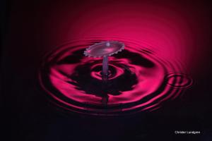 Drop