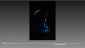 010-Slide10