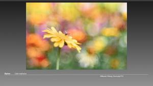 026-Slide26