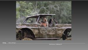 164-Slide164