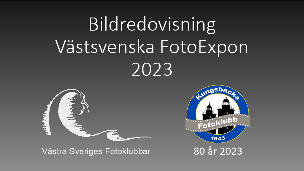 Resultat bildvisning Västsvenska FotoExpon 2023 version41024 001
