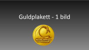 Resultat bildvisning Västsvenska FotoExpon 2023 version41024 108