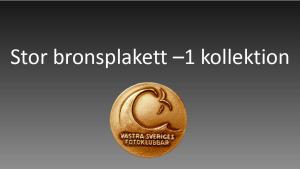 Resultat bildvisning Västsvenska FotoExpon 2023 version41024 136