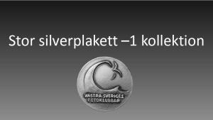 Resultat bildvisning Västsvenska FotoExpon 2023 version41024 165