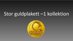 Resultat bildvisning Västsvenska FotoExpon 2023 version41024 167