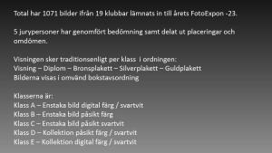 Resultat bildvisning Västsvenska FotoExpon 2023 version41024 002