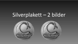 Resultat bildvisning Västsvenska FotoExpon 2023 version41024 034