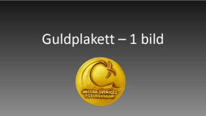 Resultat bildvisning Västsvenska FotoExpon 2023 version41024 037