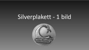 Resultat bildvisning Västsvenska FotoExpon 2023 version41024 073
