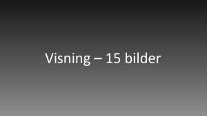 Resultat bildvisning Västsvenska FotoExpon 2023 version41024 079